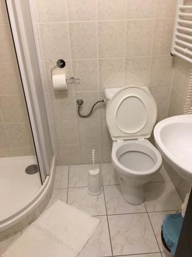 a bathroom with a toilet and a sink and a shower at Penzion Na Solné stezce in Kašperské Hory