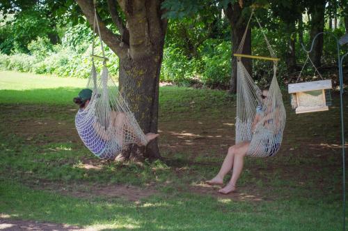 two people sitting in hammocks in a park at Bugaboo Cottages in Summerside
