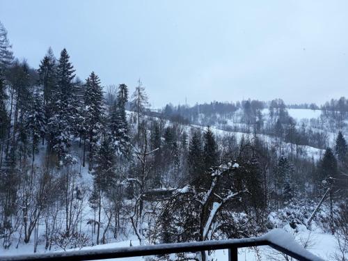 pokryte śniegiem zbocze porośnięte drzewami i lasem w obiekcie Kwatery prywatne Agnieszka i Paweł Kuźlak w mieście Wierchomla Wielka