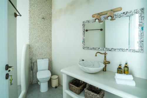 a bathroom with a sink and a toilet and a mirror at Plori Studios and Apartments in Aegiali