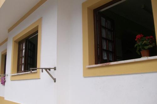 a building with a window with a potted plant on it at Ana Mónica Pereira in Vila Nova de Milfontes