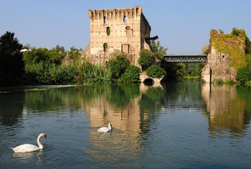 two swans in the water in front of a castle at Le Finestre Su Borghetto in Valeggio sul Mincio