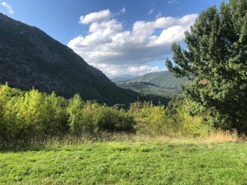 een groen veld met een boom en bergen op de achtergrond bij La Sorgente Alta in Rocchetta a Volturno