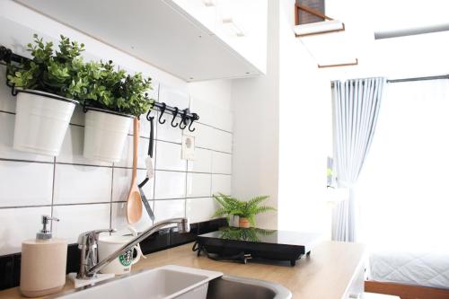 a kitchen with potted plants on the wall at Scandinavian Asia Afrika in Bandung