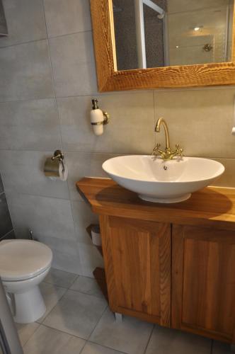 a bathroom with a sink and a toilet at Maniówka - pokoje i domki w Bieszczadach in Maniów