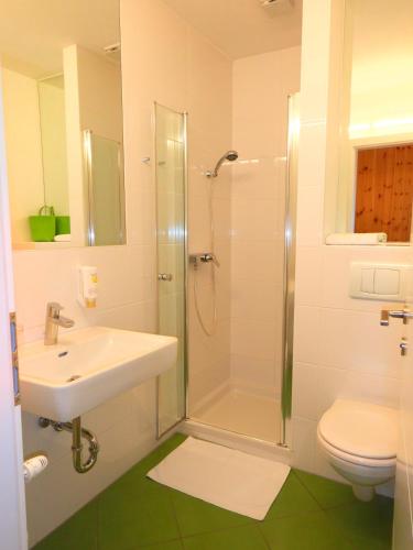 a bathroom with a shower and a sink and a toilet at Landhaus Kügler-Eppich, KuEp KG in Proleb