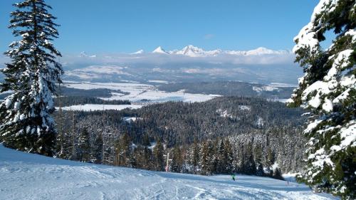 a view of a ski slope with snow covered trees at Bluebell in Mengusovce