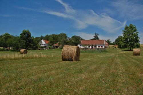 a field with hay bales in front of a house at Múltidéző Porta - Népi Műemlék Házak az Őrségben in Szalafő