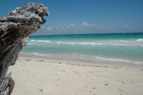 a view of the beach with the ocean in the background at Margarita del Sol Hotel Costa Maya in Mahahual