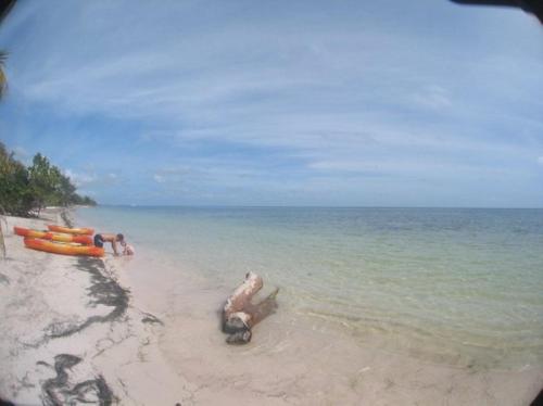 a group of people on a beach near the water at Margarita del Sol Hotel Costa Maya in Mahahual