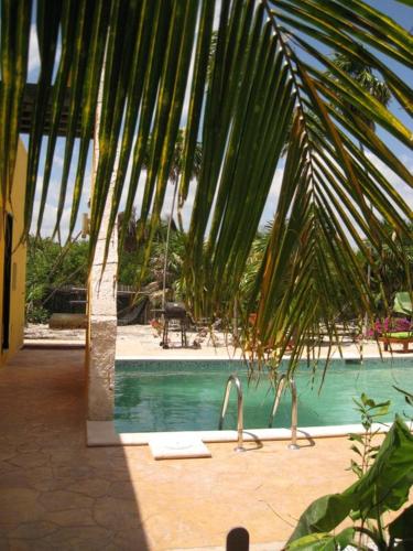 a pool with two faucets and a palm tree at Margarita del Sol Hotel Costa Maya in Mahahual
