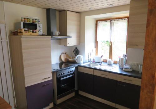 a small kitchen with a stove and a sink at Petit Papillon in Soultzeren