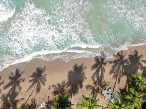 an overhead view of a beach with palm trees and the ocean at El Mosquito Boutique Hotel Playa Bonita in Las Terrenas