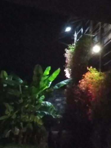 Gallery image of B&B "La baita delle coccinelle" in Varallo