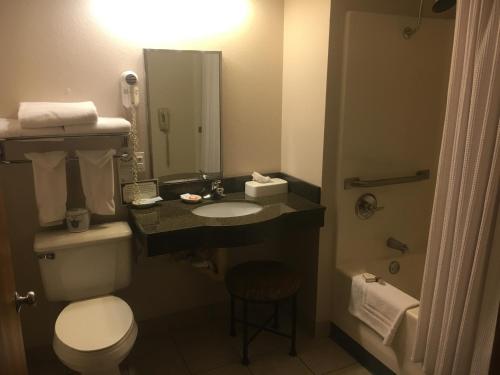 a bathroom with a toilet and a sink and a mirror at Hotel Grand Victorian in Branson
