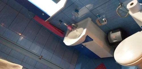 a bathroom with a toilet and a urinal and a sink at Pensiunea Casa Șteț Toader Iulian in Săpînţa