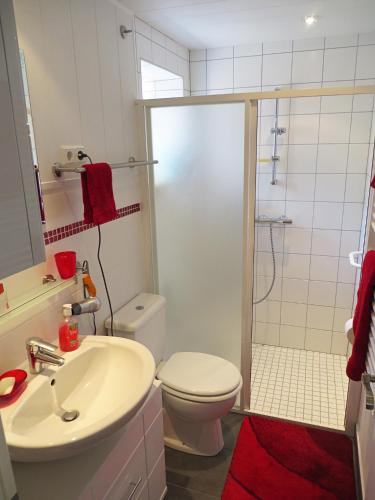 a bathroom with a shower and a toilet and a sink at Petit Papillon in Soultzeren