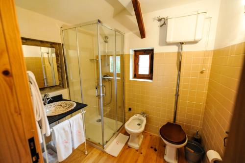 y baño con ducha, aseo y lavamanos. en Quinta da Rabaçosa - Turismo Rural, en Castro Daire