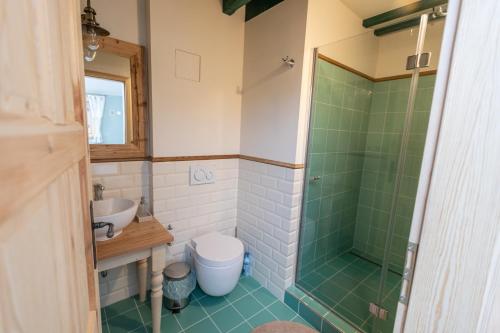 a bathroom with a shower and a toilet and a sink at Stará škola in Dolní Malá Úpa