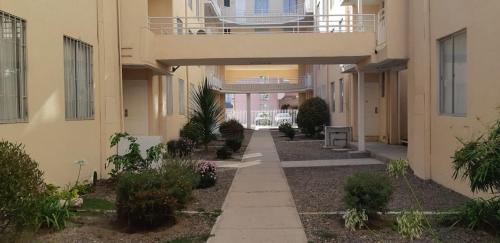 Vườn quanh Departamento La Serena Full Equipado