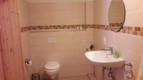 a bathroom with a sink and a toilet and a mirror at Neumühle in Lutzerath