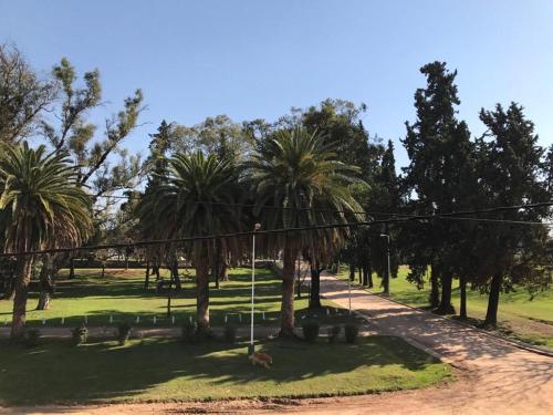 a park with palm trees and a dirt road at Departamento Leben in Colón