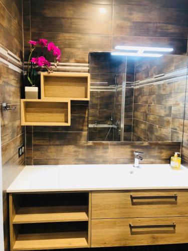 une salle de bain avec un lavabo et un miroir dans l'établissement Gîte de l'escale 76 / 77, à Muttersholtz