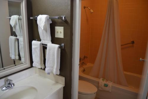 a bathroom with a sink and a toilet and a shower at Cascades Inn in Bloomington