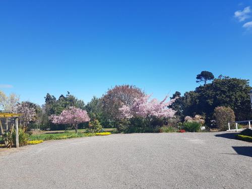 an empty road with flowering trees in the background at Lancewood Lodge in Bulls