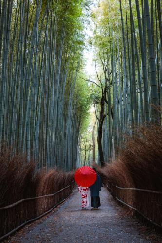 two people walking through a bamboo forest with a red umbrella at Mulan Hostel in Kyoto