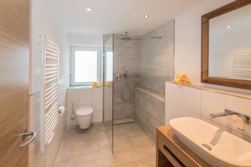 a bathroom with a shower and a toilet and a sink at Hotel Alpenblick in Fischen