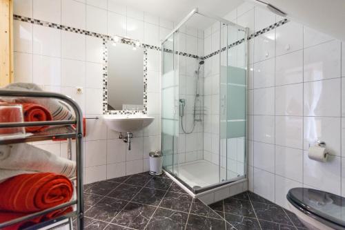 La salle de bains est pourvue d'une douche et d'un lavabo. dans l'établissement Obst & Gästehof Brandl, à Hartmannsdorf