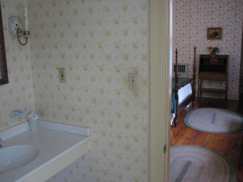 y baño con lavabo, espejo y baño con ducha. en Winter Clove Family Inn, en Round Top