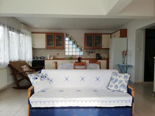 Kuchyňa alebo kuchynka v ubytovaní Dora's House comfortable apartment with a yard and view