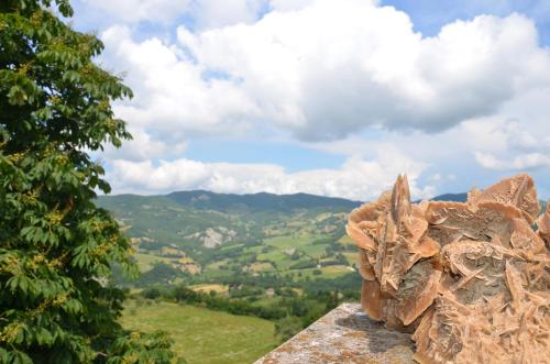 a view of a valley from the top of a rock at B&B La Terrazza Del Subasio in Assisi