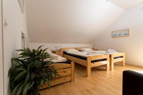 ヴィンターベルクにあるFerienwohnung Haus Kloostermanのベッド2台と鉢植えの植物がある部屋