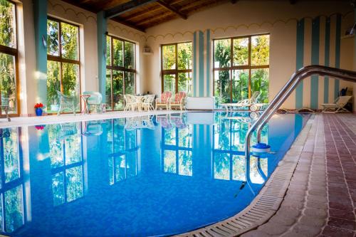 a swimming pool with a slide in the middle at Daiconi Boutique House in Miniş