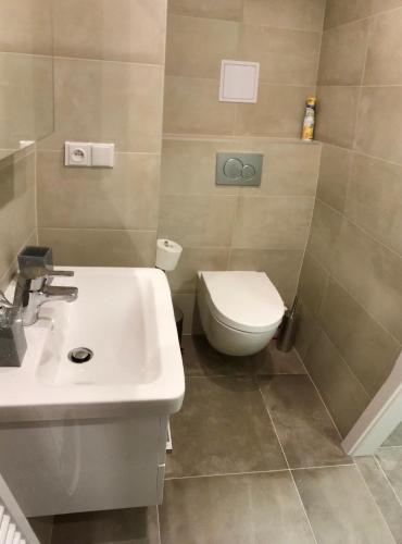 Bilik mandi di Útulný apartmán u Mumlavských vodopádů