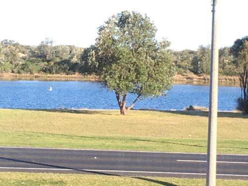 a tree in the middle of a field next to a lake at Villa by the Lake in Lakes Entrance