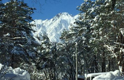 a snow covered mountain in the distance with trees at Ryder's House with Free use of 4W car in Hakuba