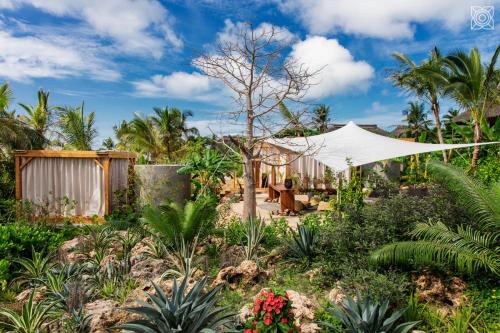 um jardim com uma tenda e algumas plantas em Zuri Zanzibar em Kendwa