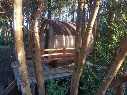 a tree house in the middle of trees at Cabañas Torre Huillinco in Huillinco