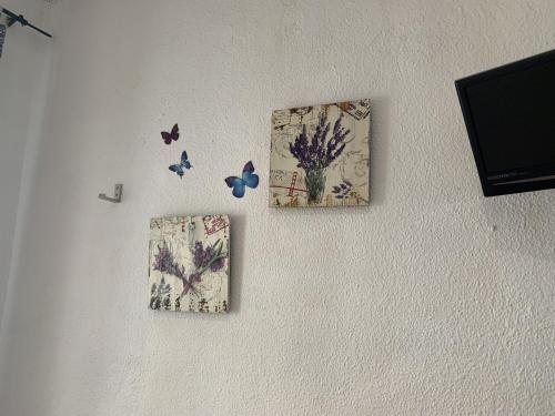 tres fotos en una pared con mariposas. en Giraldilla, en Sevilla