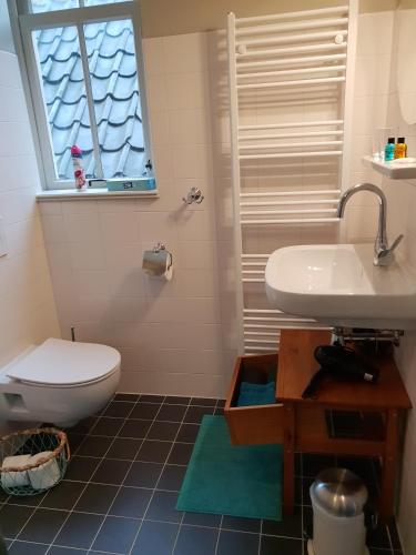 a bathroom with a toilet and a sink and a window at Bed & Breakfast Huis Sevenaer in Zevenaar