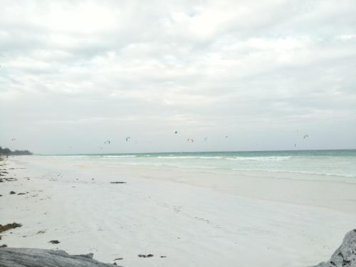 
a beach with several kites flying in the sky at Masai Paradise Cottages in Diani Beach
