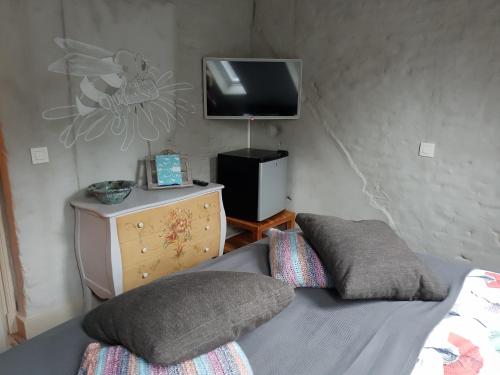 a living room with a couch and a tv at Bed & Breakfast Huis Sevenaer in Zevenaar