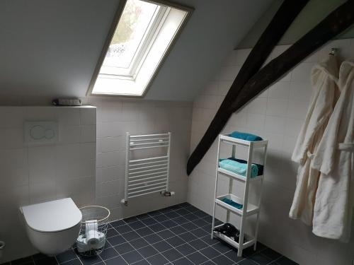 a bathroom with a toilet and a skylight at Bed & Breakfast Huis Sevenaer in Zevenaar