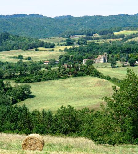 a large field with a haystack in the middle at La Casina in Stia