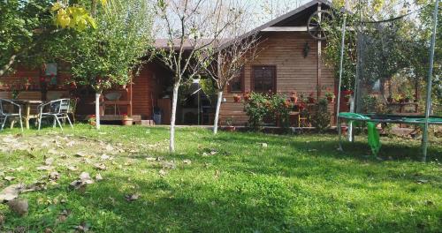 a house with a picnic table in the yard at Alegria in Eşelniţa