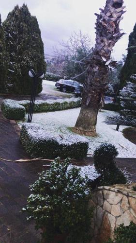 a tree covered in snow next to a street at Agriturismo Terre Delle Monache in Pontecagnano